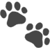 :paw_prints: