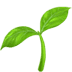 :seedling: :seedling: